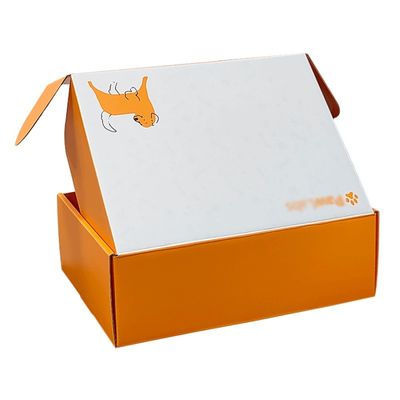 Impresión a color personalizada caja de correo de avión duro para embalaje de ropa seguro y protegido